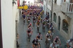 Venzonassa 2006