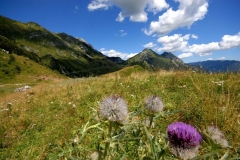 alta_val_venzonassa