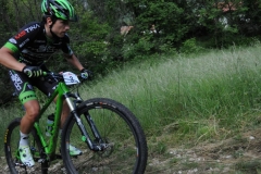 DSC_3649VENZONASSA2015.1