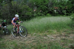 DSC_3650VENZONASSA2015.1