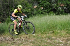 DSC_3662VENZONASSA2015.1